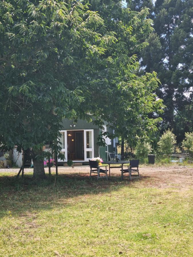 Bed and Breakfast Ace B N B Kerikeri Exterior foto